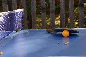 Stolní tenis v ubytování Chateau Orberi nebo okolí