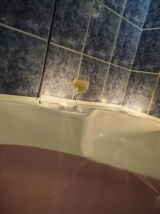 a glass of wine sitting on top of a bath tub at Apartman 19 in Pale