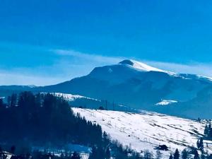Fotografie z fotogalerie ubytování Едельвейс-Будапешт v destinaci Jasiňa
