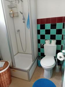 een badkamer met een toilet en een douche bij Room Algo in Algolsheim +7 foto's