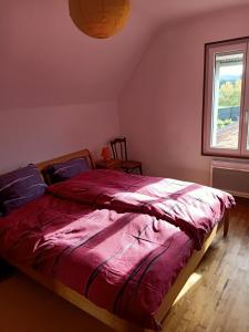 a bedroom with a bed with a red comforter and a window at Room Algo in Algolsheim