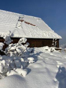 Allgäu Cottage - traumhafter Blick in die Schweizer Berge v zimě