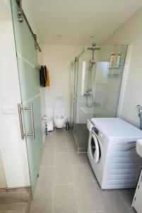 a bathroom with a washing machine and a toilet at Studio-Apartment nahe Zentrum in Pforzheim