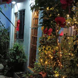 Zahrada ubytování Susing Seaside Guesthouse