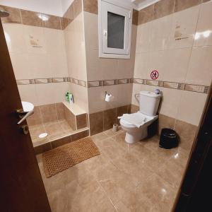 a bathroom with a toilet and a shower and a sink at Elpida's house in Spata +12 photos