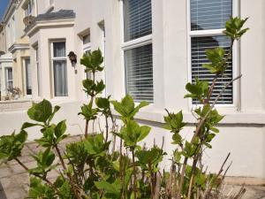 a house with green plants in front of it at 3 bed in Eastbourne EHC04 in Eastbourne