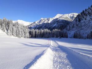 Pension Waldhof v zime