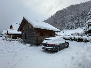Obiekt Chalet Falkenstein zimą