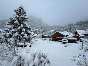 Obiekt Chalet Falkenstein zimą