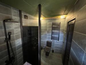 a bathroom with a shower and a toilet at Gzaze in Stepantsminda
