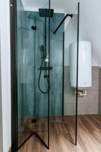 a shower with a glass door in a bathroom at Wild Cabin in Malaia