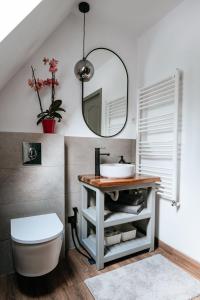 a bathroom with a sink and a toilet and a mirror at Wild Cabin in Malaia +74 photos