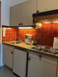 Köök või kööginurk majutusasutuses Gästehaus Tauscher am Haldensee
