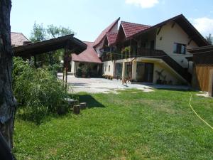 a house with two dogs walking in the yard at Pensiunea Casa Filoxenia in Horezu