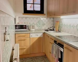 eine Küche mit einer Spüle und einer Mikrowelle in der Unterkunft Fleissner Hütte in Innerkrems