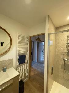 ein Bad mit einer Dusche, einem Waschbecken und einem Spiegel in der Unterkunft Au bal des hirondelles in Andé