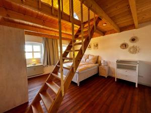 ein Schlafzimmer mit einem Etagenbett und einer Leiter in der Unterkunft Storchenhof in Eutin