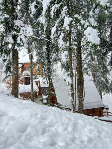 un patio cubierto de nieve con árboles y una casa en Forest Amerika-Bungalovi Milica, en Vrbovsko