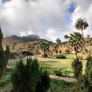 un campo con palmeras y una montaña en el fondo en Valley Nest for 6-12 PAX, en Mount Abu