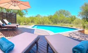 a swimming pool with two chairs and an umbrella at Wild Dog Guest Lodge in Hoedspruit