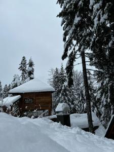 una cabaña de madera con nieve encima en Forest Amerika-Bungalovi Milica, en Vrbovsko