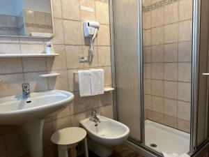 y baño con lavabo y ducha. en Hotel Rododendro Val di Fassa en Campitello di Fassa