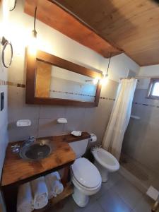 ein Badezimmer mit einem WC und einem Waschbecken mit einem Spiegel in der Unterkunft Santos Lugares Cabañas in Junín de los Andes
