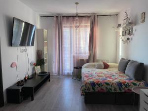 1 dormitorio con cama, mesa y TV en Pinky studio, en Dobroeşti