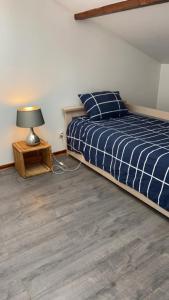 een slaapkamer met een bed en een lamp op een nachtkastje bij Appartement dans maison in Brié-et-Angonnes