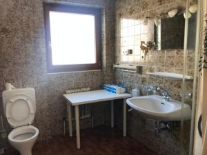uma casa de banho com um WC, um lavatório e um espelho. em Appartement Grünfelder em Oberperfuss