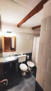 een badkamer met een toilet, een wastafel en een spiegel bij El Hostal del Rio in Aluminé