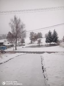 una carretera cubierta de nieve en un campo en Rodinný dům pro hosty Vysočiny, 