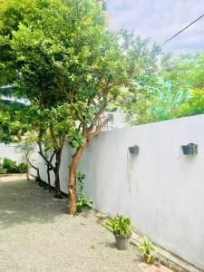 Zahrada ubytování Lora Homestay