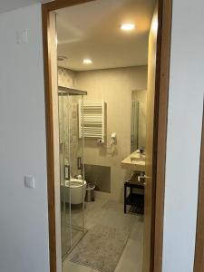 a bathroom with a shower and a toilet and a sink at Moradia com jaccuzzi e sky view in Bombarral +7 photos
