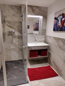a bathroom with a shower and a sink at Apartment Reiter in Zellbergeben