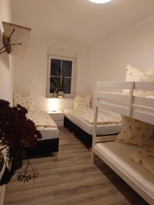 Cette chambre comprend 2 lits superposés et une fenêtre. dans l'établissement Ferienwohnung Brunow "In der Natur Zuhause", à Neundorf