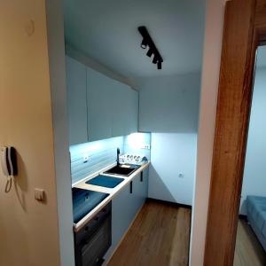 Kuchyň nebo kuchyňský kout v ubytování Borovi 2, apartman 8