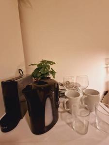 a plant in a pot on a table with glasses at Private room 202 - Eindhoven - By T&S. in Eindhoven