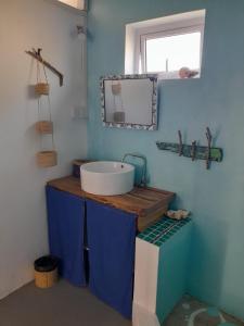 a bathroom with a sink and a mirror at Blue View Terrace in Rodrigues Island
