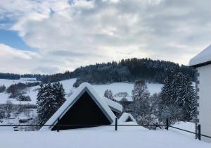 ein schneebedecktes Haus mit einem Berg im Hintergrund in der Unterkunft Apartmany A&Z in Hořice na Šumavě