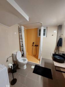 La salle de bains est pourvue de toilettes, d'un lavabo et d'une douche. dans l'établissement Apartment in Karellas near the airport, à Paianía