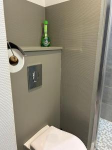 een kleine badkamer met een toilet en een douche bij Les petits nids de Nina 1 in Fosses-La-Ville