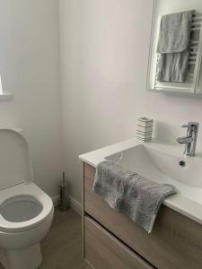 a white bathroom with a toilet and a sink at Modern apartment with sea views in Portrush +11 photos