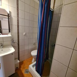 a bathroom with a shower and a toilet and a sink at Guesthouse Kod mosta in Karlovac