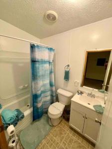 a bathroom with a toilet and a sink at Country views and hikes. in Kyles Ford