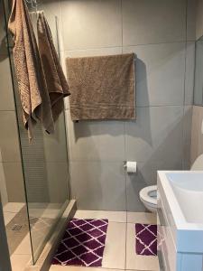 a bathroom with a shower and a toilet and a sink at Wild olive B in Windhoek