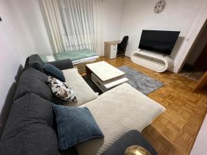 sala de estar con sofá y TV de pantalla plana en Stilvolle 2-Zimmer-Anliegerwohnung in Tuttlingen, en Tuttlingen