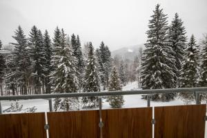 een uitzicht op een met sneeuw bedekt bos van bomen bij Interhotel Montana in Špindlerův Mlýn
