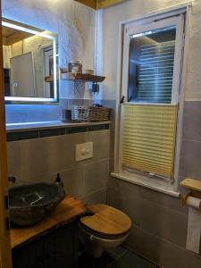 een badkamer met een wastafel, een toilet en een raam bij Beutners Berghütte in Stützerbach