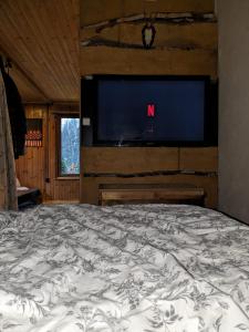 a bedroom with a bed with a tv on the wall at Beutners Berghütte in Stützerbach